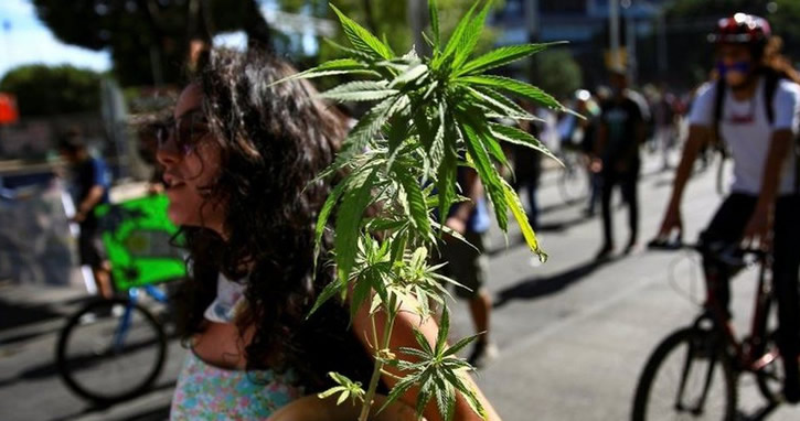Meksika’da esrar yasağı tamamen kaldırılıyor