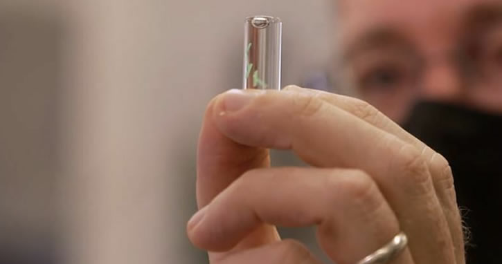 Koronavirüs vücuda girdiğinde uyarı veren mikroçip