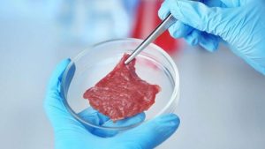 Yapay Et Tüketimi Küresel Isınma İçin Tek Çare Mi?