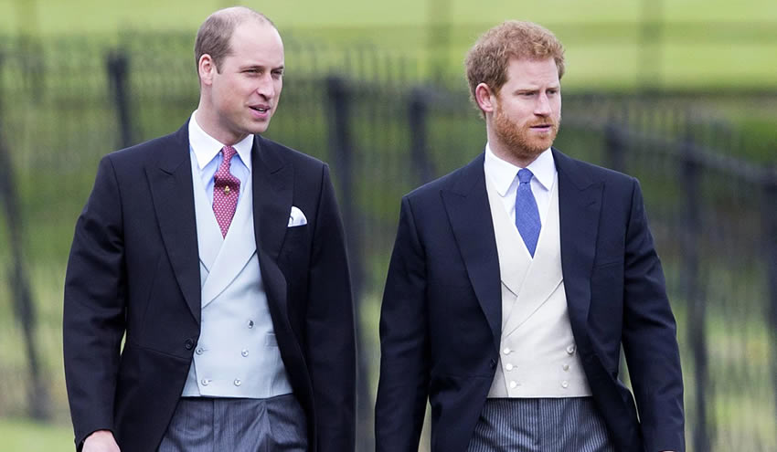 Olay adam, Prens William ve Harry’den özür diledi