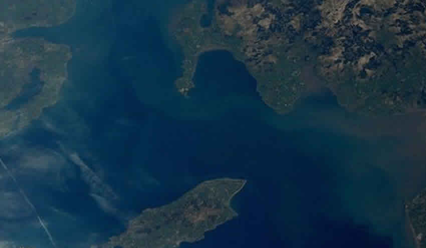 Milyarder iş insanı Elon Musk’tan İngiltere’de Starlink hamlesi