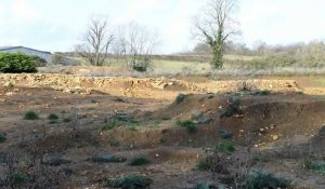 Toplu mezardan çıkan 80 cesetin geçmişi gizemini koruyor