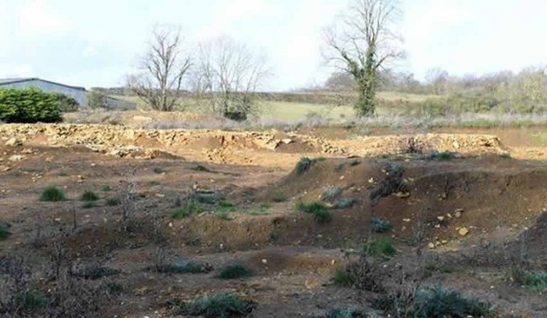 Toplu mezardan çıkan 80 cesetin geçmişi gizemini koruyor