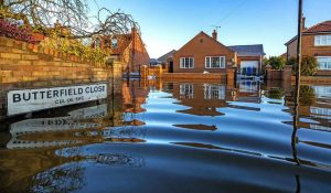Çarpıcı araştırma: “Ya uyum sağlayacağız, ya da öleceğiz”
