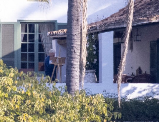 Kriz sürerken tatile çıkan Başbakan Johnson tepki çekti