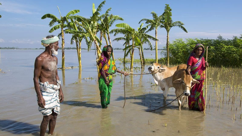 İngiltere’de iklim değişikliği için yoksul ülkelere dev yardım