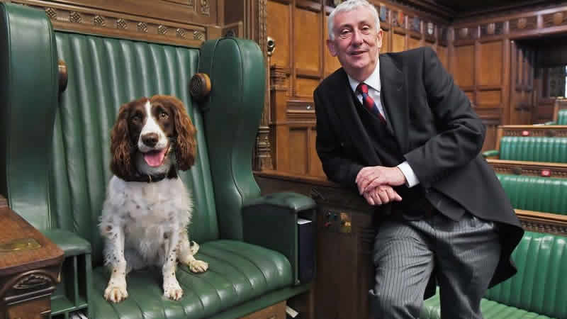 İngiltere’de Başbakanlık Ofisi yakınlarında kokain bulundu