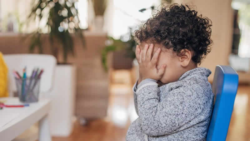 Herefordshire Belediyesi, sosyal hizmet uzmanlarının uyarılarına rağmen ikizleri ayırdı