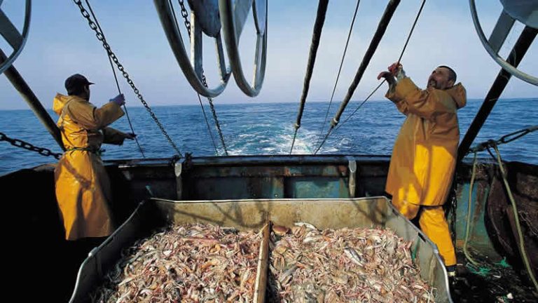 İngiltere’de balıkçı teknelerinde çalışan göçmen işçiler fiziksel şiddet kurbanı