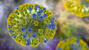 İngiltere’de maymun çiçeği virüsü vaka sayısı 20’ye yükseldi