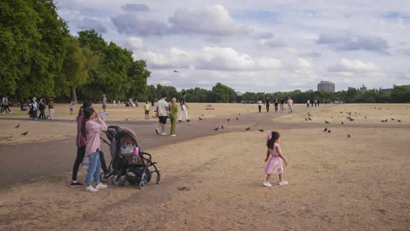 Aşırı sıcaklar nedeniyle Londra’da parklardaki çimler kurudu