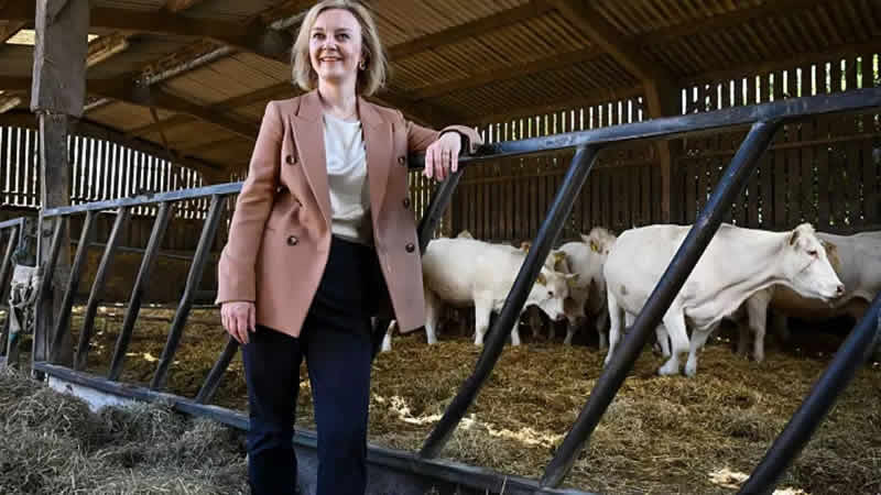 Başbakanlık adayı Liz Truss memur maaşlarıyla ilgili ‘U dönüşü’ yaptı 