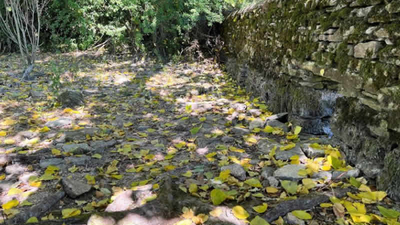 İngiltere’nin güney, orta ve doğu bölgelerinde kuraklık ilan edildi