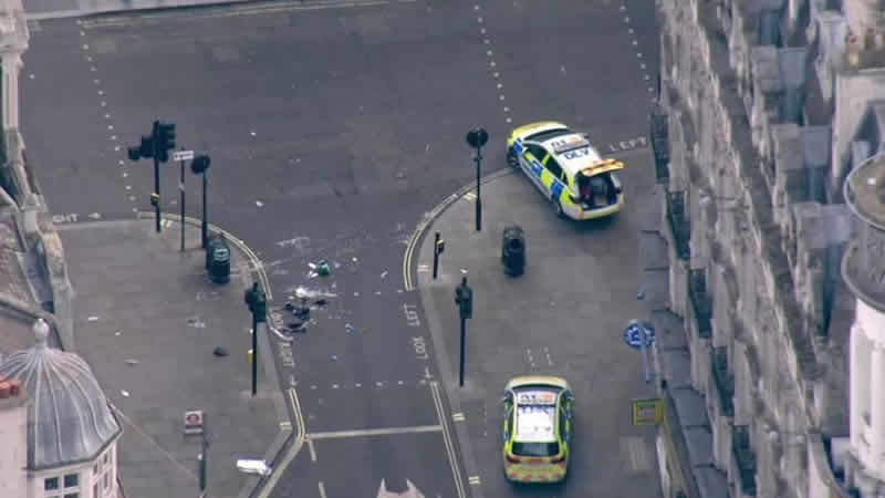 Londra’nın merkezinde iki polis bıçaklandı