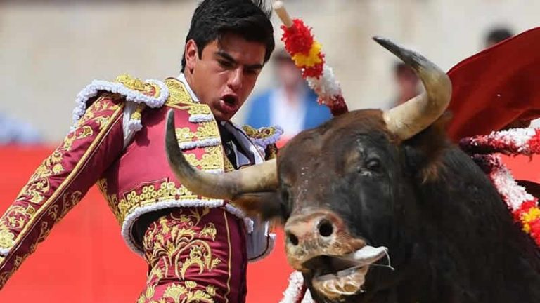Fransa, boğa güreşlerinin yasaklanmasını tartışıyor