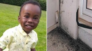 İngiltere’de 2 yaşındaki sığınmacı sosyal konuttaki küf yüzünden öldü