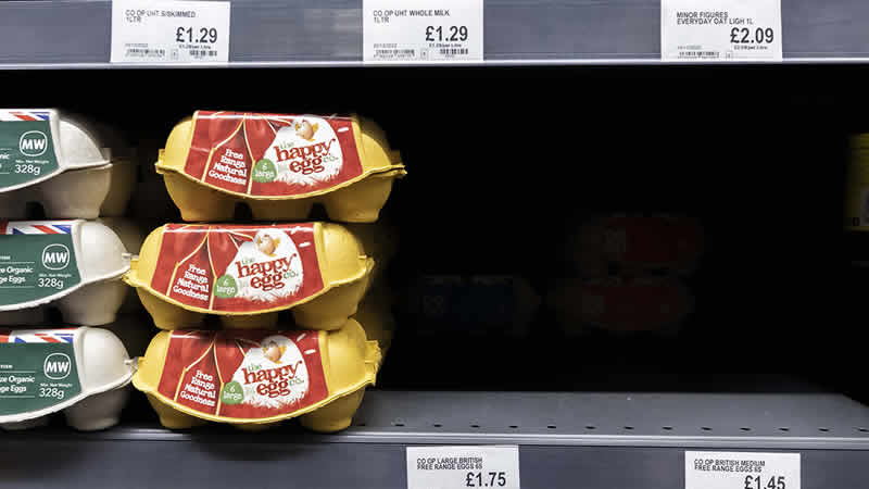 İngiltere’de bazı süpermarketlerde yumurta satışına sınırlama getirildi