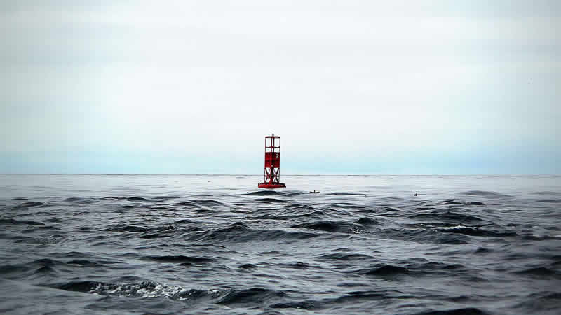 Denize düşen balıkçı 48 saat sonra canlı bulundu