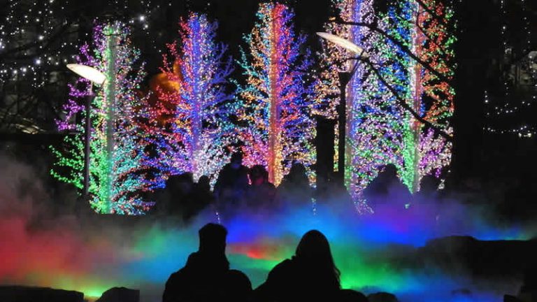 Canary Wharf’ta Kış Işıkları Festivali başladı