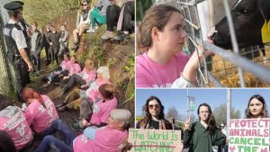 Aktivistler Kral Charles’ın kuzularını çaldı