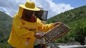 Bitlis balı Londra’da dünya birincisi seçildi