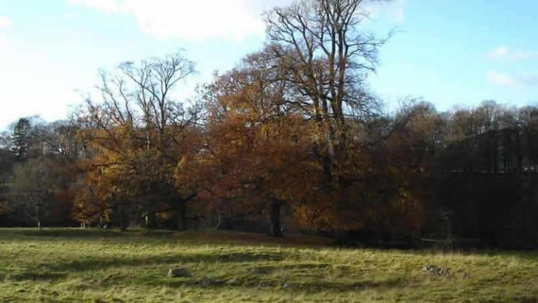 Britanya’daki 4 bin yıllık mezarlarda veba bulundu