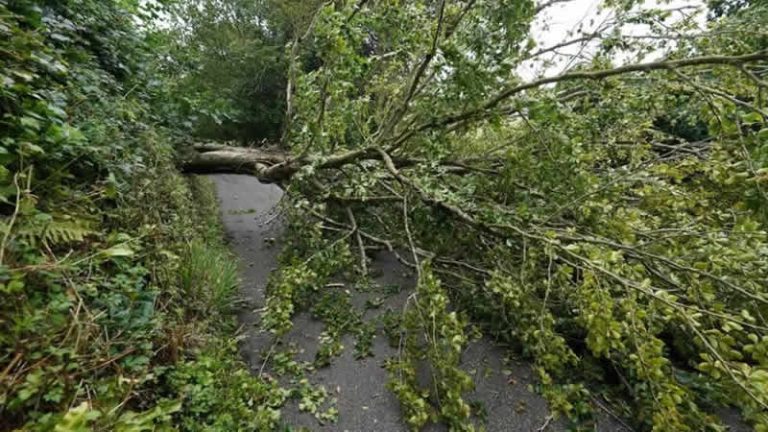 Antoni Fırtınası’nın İngiltere ve Galler’i vurması bekleniyor