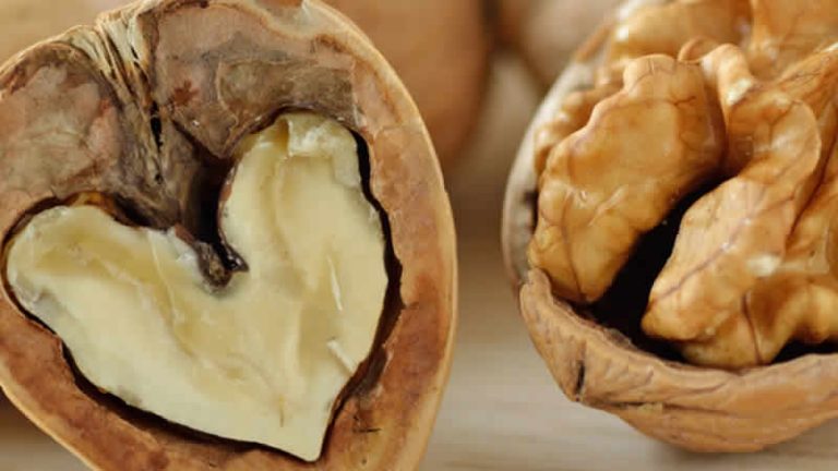 Diyetisten Öykü Uman: Düzenli ceviz tüketiminin faydaları