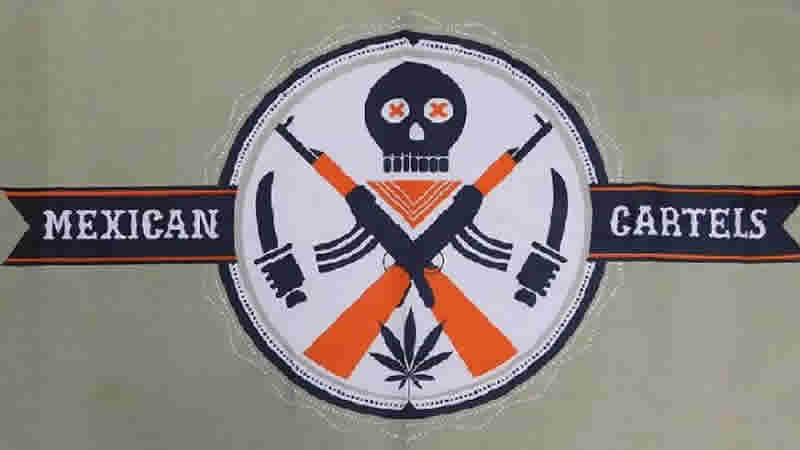 Meksikalı kartelin oğlunu kurtarma operasyonunda 12 kişi öldü