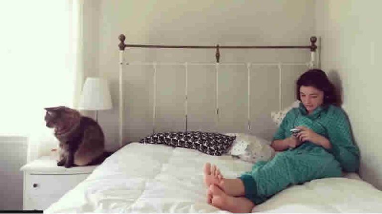 İngiltere’de ebeveynlere verilen okula devamsızlık cezaları 20 sterlin artırılacak