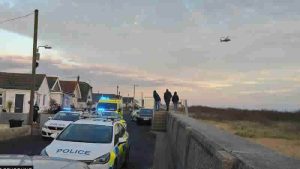 Essex’te köpek saldırısı sonucu bir kadın hayatını kaybetti