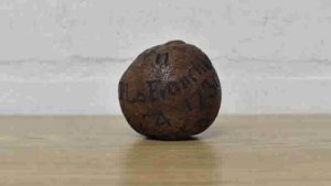 İngiltere’de bulunan 285 yıllık limon 1.400 sterline satıldı