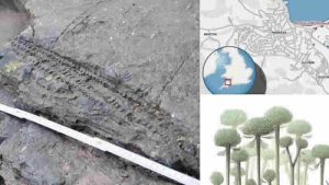 Britanya topraklarında 390 milyon yıllık tarih