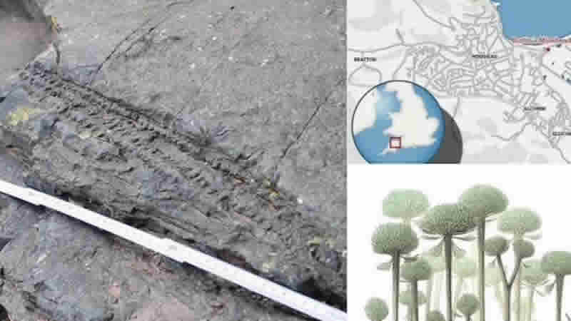 Britanya topraklarında 390 milyon yıllık tarih