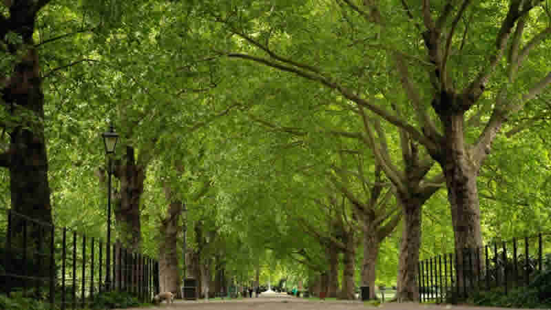 Birleşik Krallık’taki çocukların yüzde 76’sı doğada daha çok zaman geçirmek istiyor