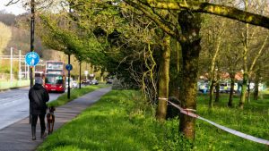 Londra’nın güneyindeki Croydon parkında bulunan kalıntıların kime ait oluğu belirlendi