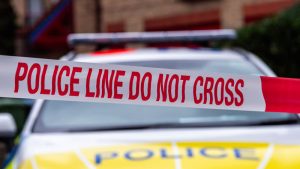 10 Yaşındaki Kızın Ölümüne Yol Açan Köpek İtlaf Edilecek