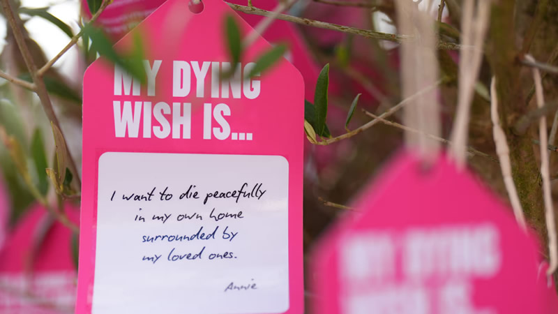 İngiltere’de Yardımlı Ölüm Yasa Tasarısı Neleri Kapsıyor?