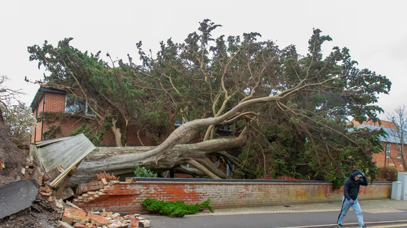 Darragh Fırtınası Nedeniyle İki Kişi Hayatını Kaybetti