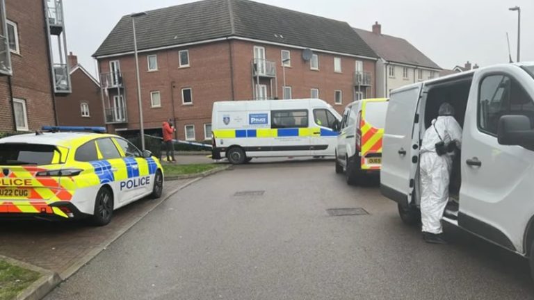 Milton Keynes’te Bıçaklanan İki Kadın Hayatını Kaybetti