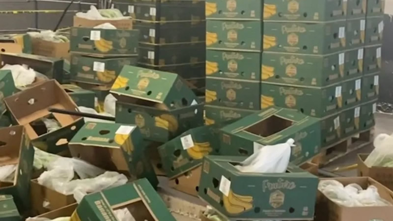 İngiltere’ye Gelen Muz Kutularında 200 Milyon Sterlinlik Kokain Ele Geçirildi