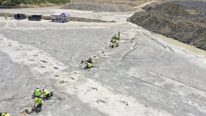 İngiltere’de Tarihi Keşif: Ülkenin En Büyük Dinozor Ayak İzi Alanı Bulundu