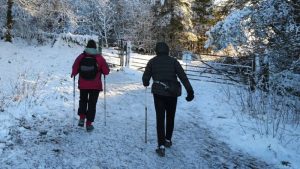 Birleşik Krallık’ta Kar ve Don Nedeniyle Seyahat Uyarısı