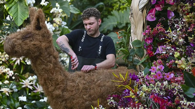 Londra’da Orkide Festivali İçin Geri Sayım Başladı