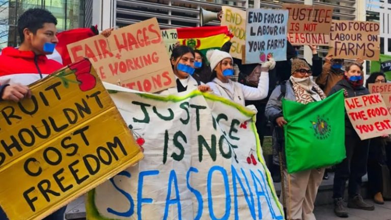 İngiltere’deki Mevsimlik Göçmen İşçilerin İsyanı