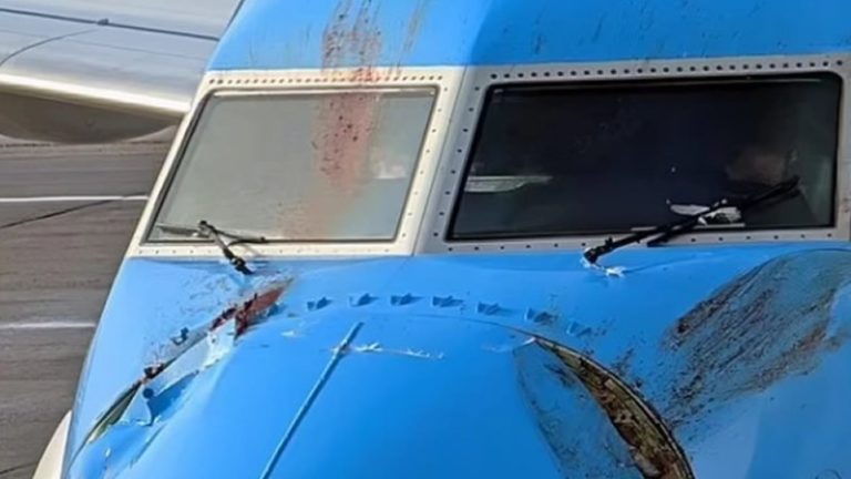 Kuş Sürüsüne Çarpan İngiltere Uçağı Acil İniş Yaptı