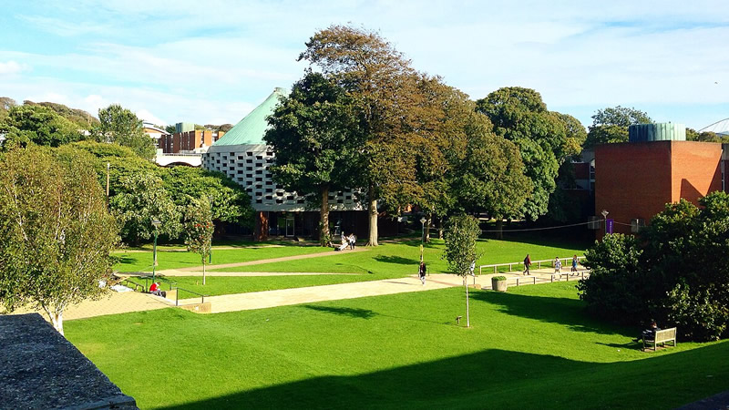 Sussex Üniversitesi’ne İfade Özgürlüğü İhlalinden 585 Bin Sterlin Ceza