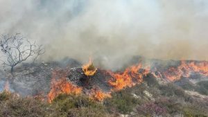 Bournemouth Sahilinde Korkutan Yangın: 50 Metrelik Alevler Gökyüzünü Kapladı