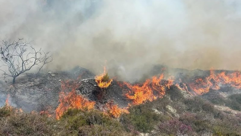 Bournemouth Sahilinde Korkutan Yangın: 50 Metrelik Alevler Gökyüzünü Kapladı