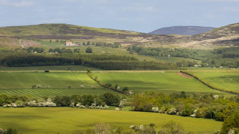 Britanya’da Tahsisli Arazi Dağılımında Büyük Uçurum